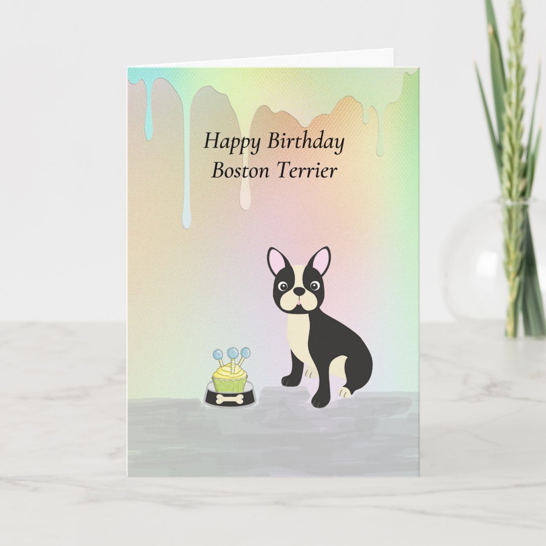 Birthday Card for Boston Terrier Dog | Zazzle