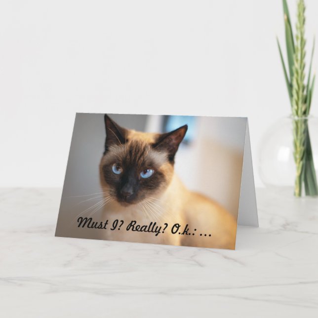 Birthday Card for Lovers of grumpy Cats (Front)
