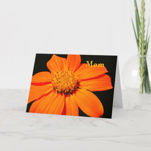 Birthday Card for Mom Big Orange Flower