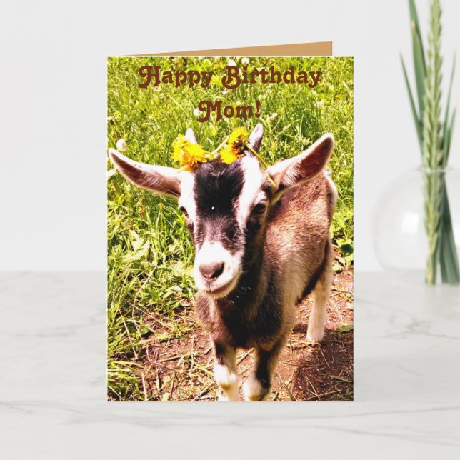 Birthday Card for Mom - From Favorite Kid (Goat) (Front)