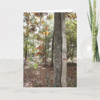 Birthday card for that special Son