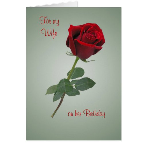 Birthday card for Wife with Red rose. | Zazzle