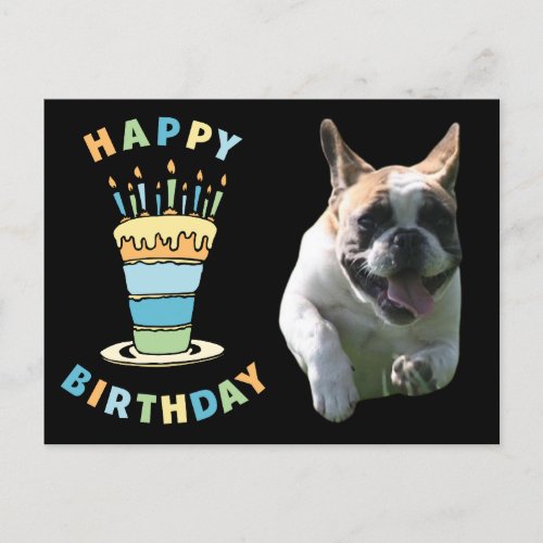 birthday card French Bulldog postcard