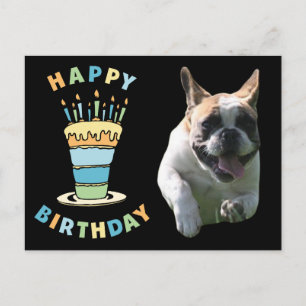 birthday card French Bulldog postcard