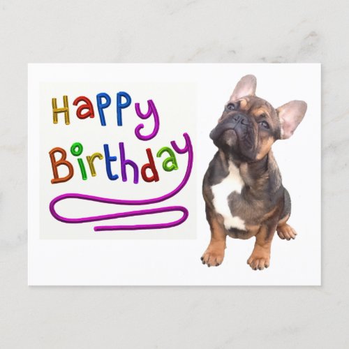 birthday card French Bulldog postcard