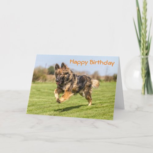 Birthday Card German Shepherd Dog