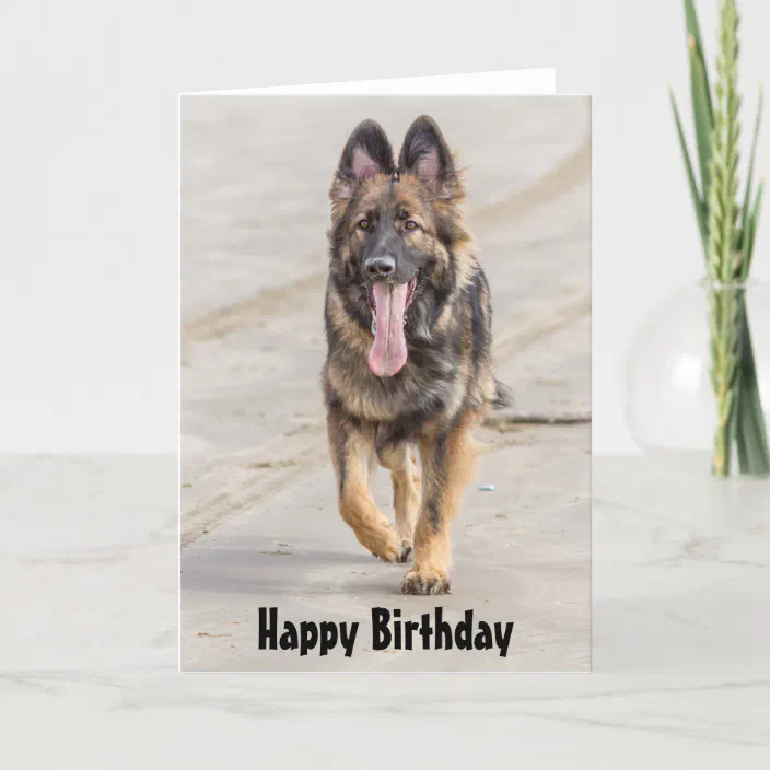 Insert PERSONALISED ALSATION GSD GERMAN SHEPHERD BIRTHDAY ANY OCCASION  CARD