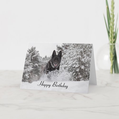 Birthday Card German Shepherd Dog in snow