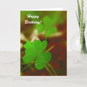 Birthday Card Green Clover Photograph