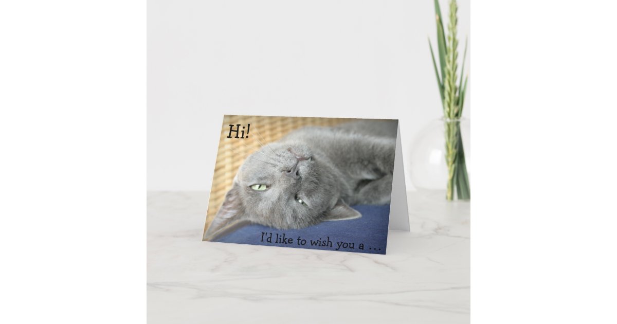 Birthday Card Grey Cat Wishes A Happy Birthday Card Zazzle Com