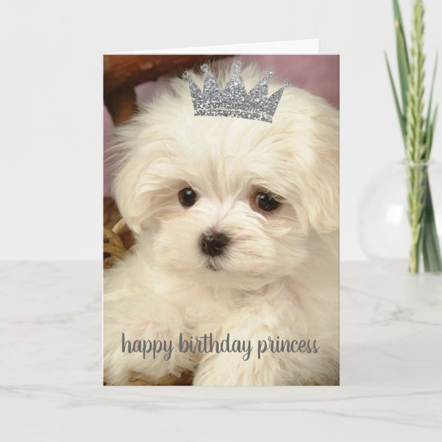 Birthday Card - Happy Birthday Princess (Front)