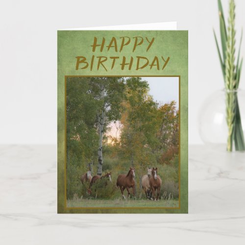 Birthday Card Horses running