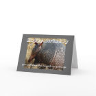 birthday card humor armadillo photo art