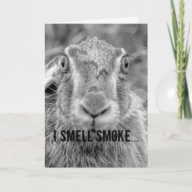 birthday card humor bunny black and white photo (Front)