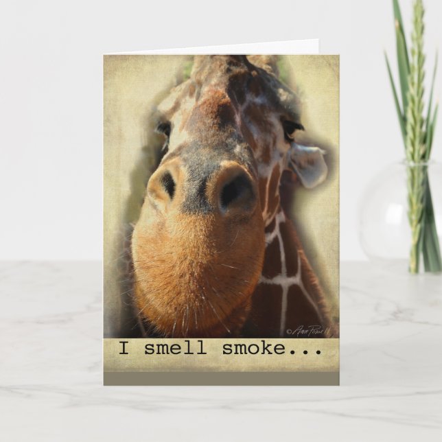 birthday card humor giraffe nose (Front)