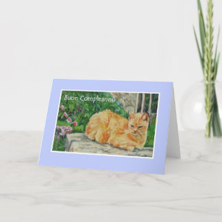Birthday Card, Italian Greeting, Ginger Cat Card