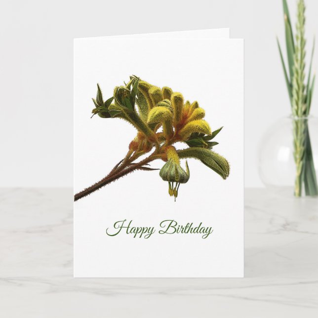 Birthday Card - Kangaroo Paw (Front)