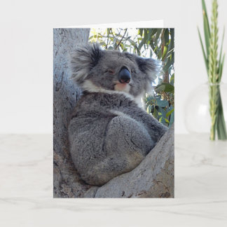Birthday Card Koala in a Gum Tree