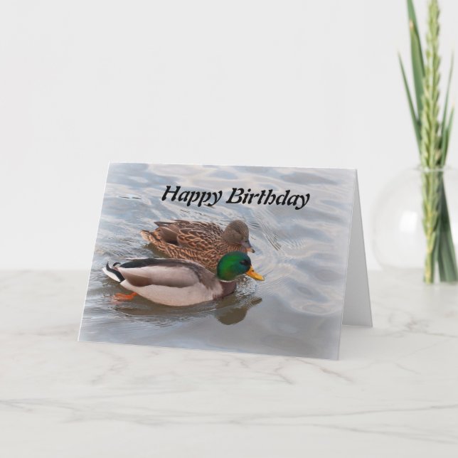 Birthday Card: Mallard Ducks Card (Front)