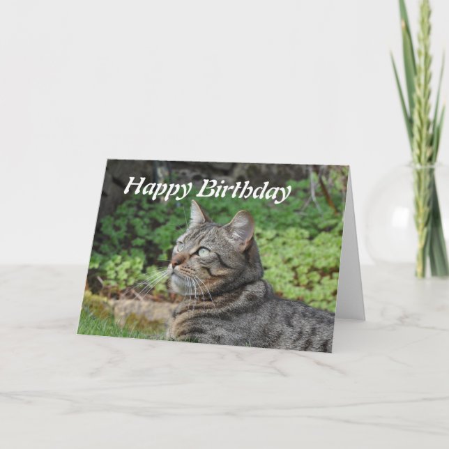 Birthday Card: Minnie the Cat Card (Front)