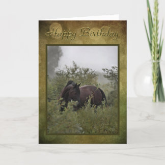 Birthday Card "Misty Black Horse"