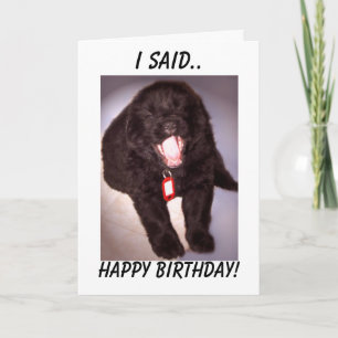 Birthday Card Newfoundland Puppy