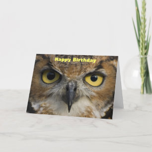 Birthday Card - Owls Eyes