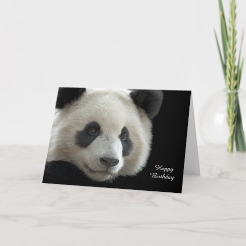 Birthday Card Panda