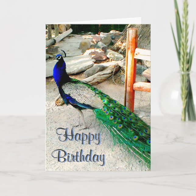 Birthday Card - Peacock Design, envelope included (Front)