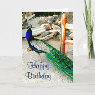 Birthday Card - Peacock Design, envelope included