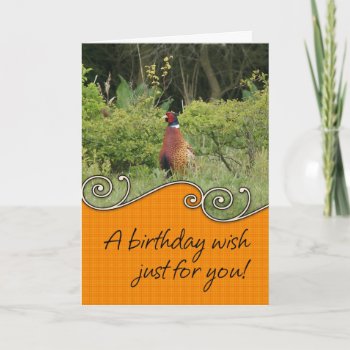 Birthday Card - Pheasant by moonlake at Zazzle