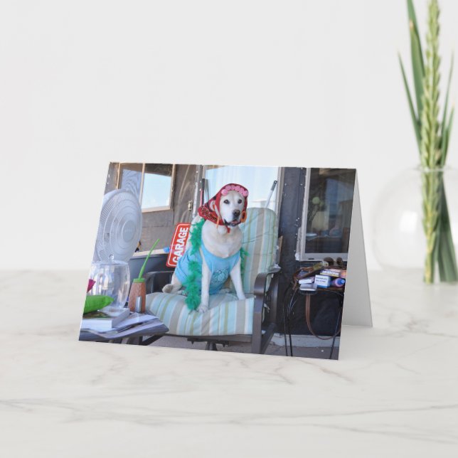 Birthday card, photo of dog in curlers card (Front)