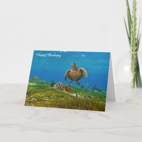 Birthday Card Sea Turtle