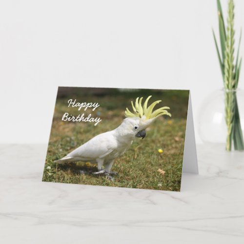 Birthday card Sulphur Crested cockatoo parrot