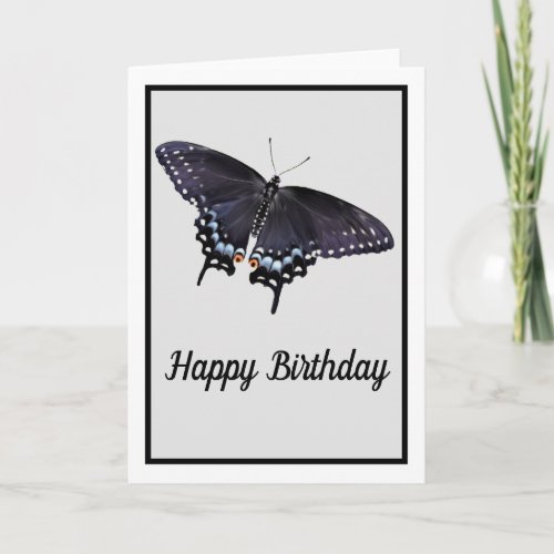 Birthday Card Swallowtail Painting