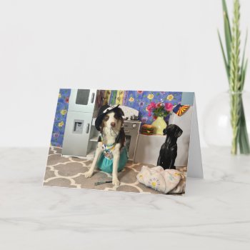 Birthday Card To Mom With Dog In Clothes by PlaxtonDesigns at Zazzle