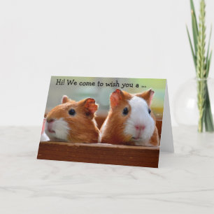 Birthday Card: Two Guinea Pigs Card