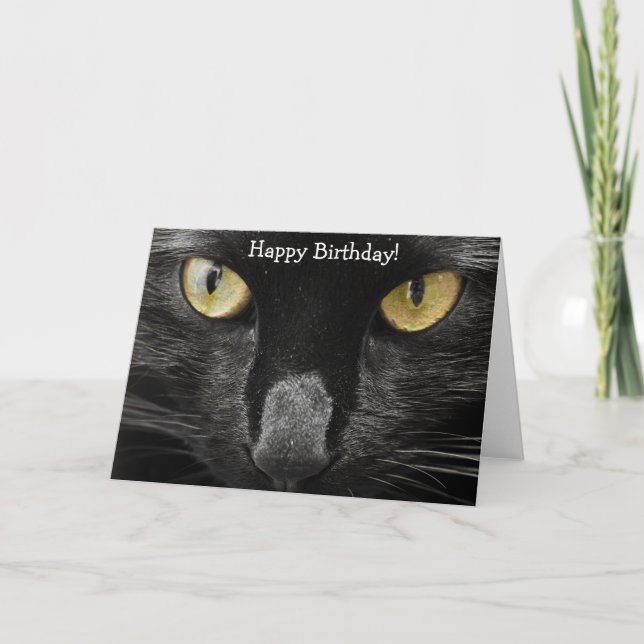 Birthday Card: What a Cat! What a Look! Card (Front)