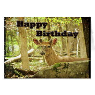 Whitetail Deer Birthday Cards - Greeting &amp; Photo Cards | Zazzle