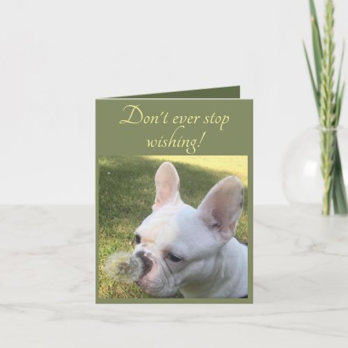 Birthday Card Wishing French Bulldog dandelion
