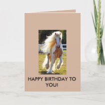 Birthday Card with a beautiful horse!