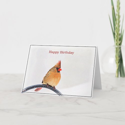 Birthday Card with a female Cardinal