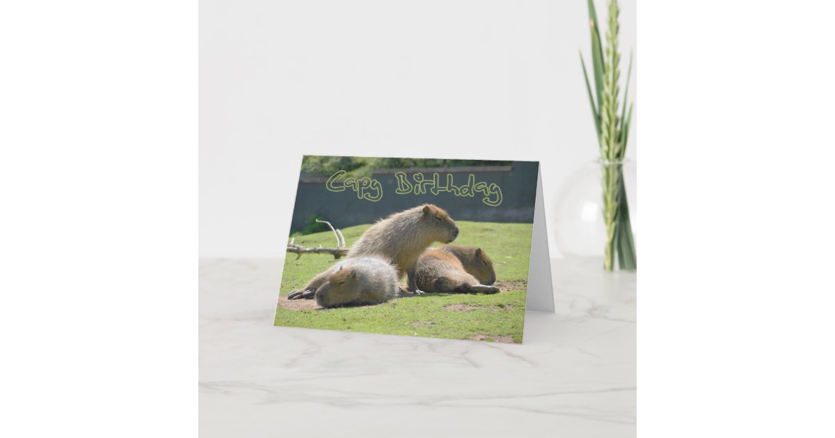 Birthday Card With Capybara Zazzle