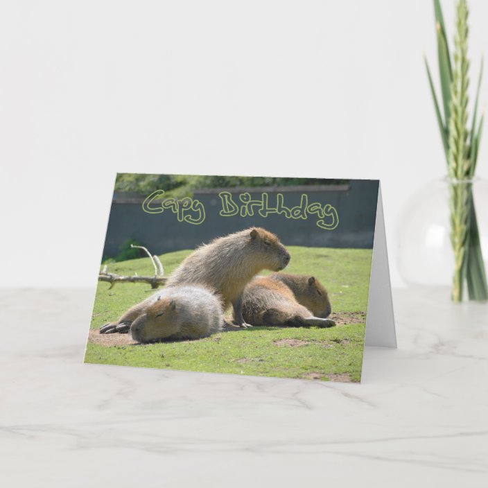 Birthday Card with Capybara | Zazzle.com