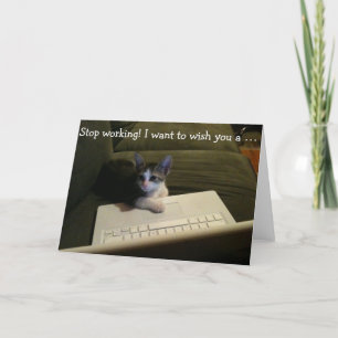 Birthday Card with Cat: Stop Working!