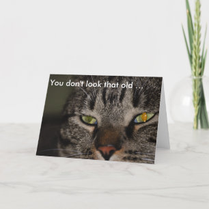 Birthday Card with Cat: You don't look that old …