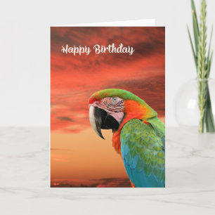 Birthday Card with Colorful Parrot & Sunset