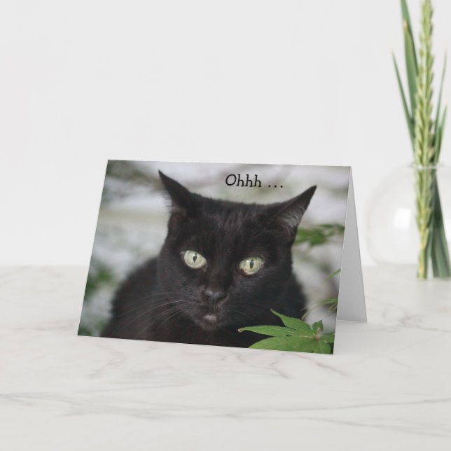 Birthday Card with cute black cat (Front)