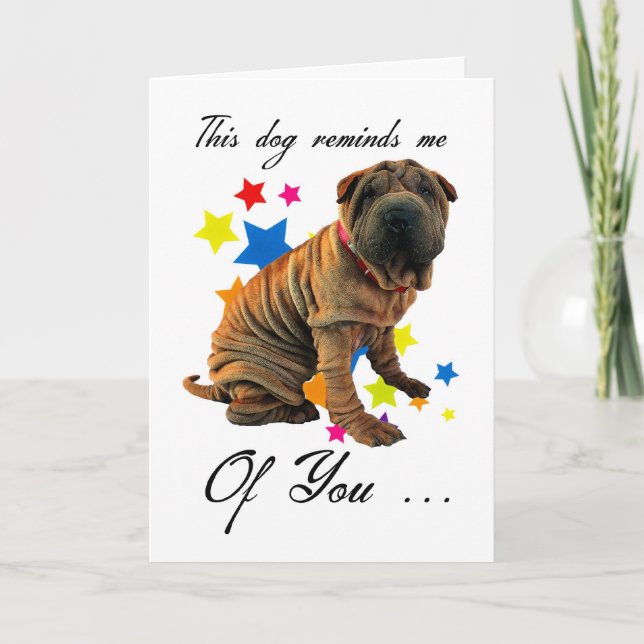 birthday card with cute shar pei - humorous card (Front)