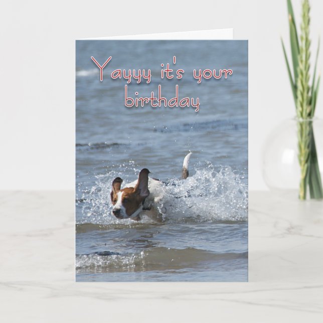 Birthday Card With Dog - Yayy it's your birthday (Front)